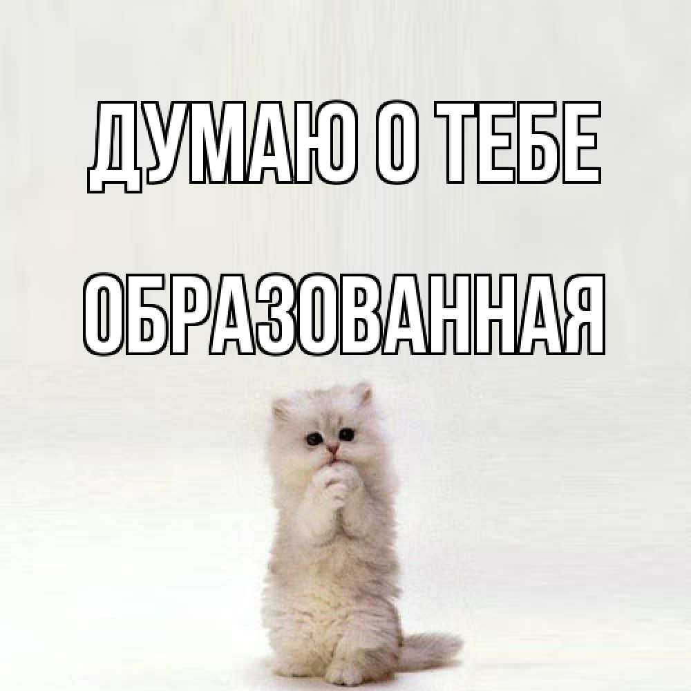 Открытка на каждый день с именем, Обpазованная Думаю о тебе кот стоит на задних лапах Прикольная открытка с пожеланием онлайн скачать бесплатно 