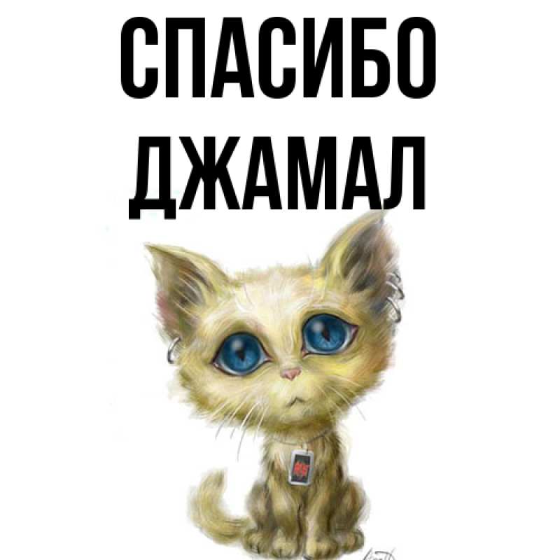 Картинка Спасибо, Джамал