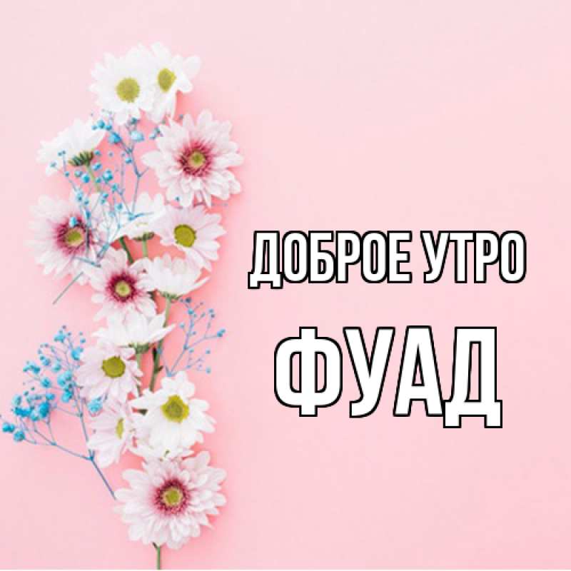 Картинка Доброе утро, Фуад