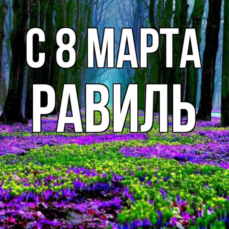 Картинка C 8 МАРТА, Равиль