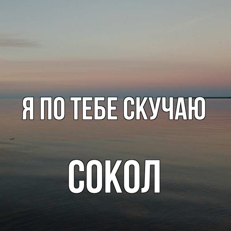 Картинка Я по тебе скучаю, Сокол