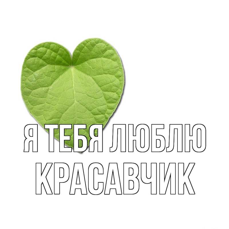 Картинка Я тебя люблю, Красавчик