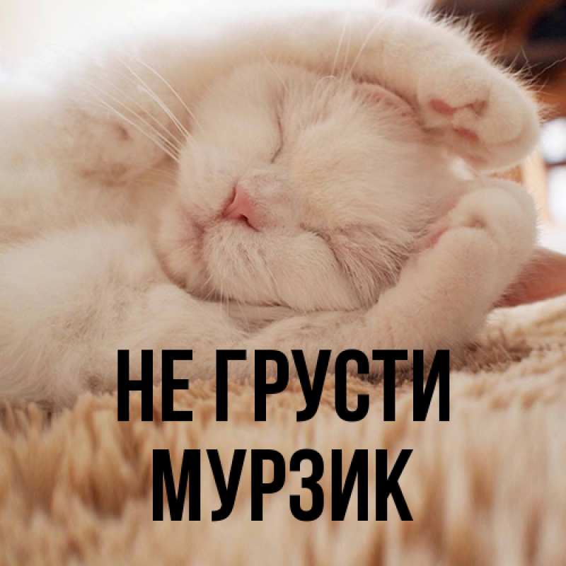 Картинка Не грусти, Мурзик