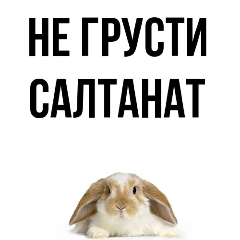Картинка Не грусти, Салтанат