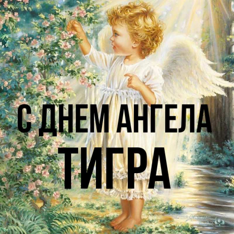 Картинка С днем ангела, Тигра