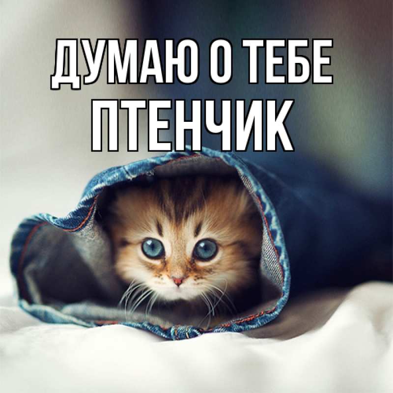 Картинка Думаю о тебе, Птенчик