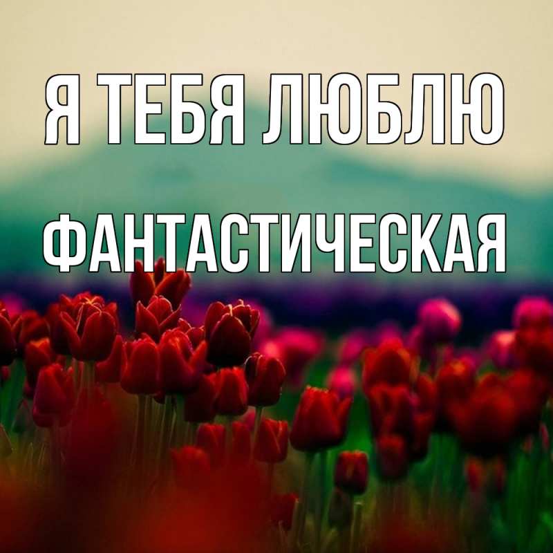 Картинка Я тебя люблю, Фантастическая