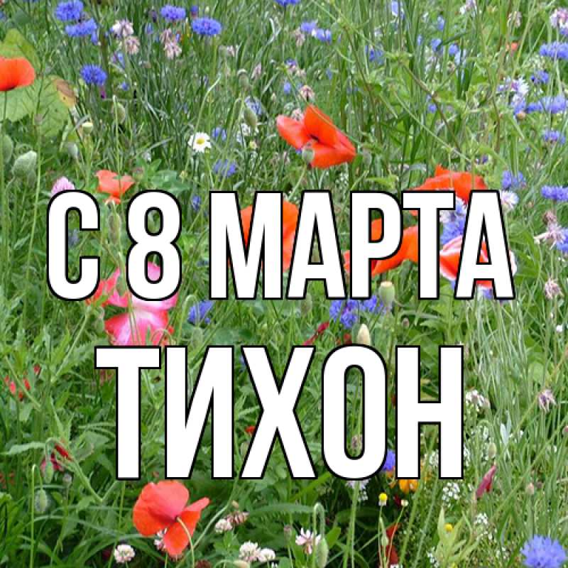 Картинка C 8 МАРТА, Тихон