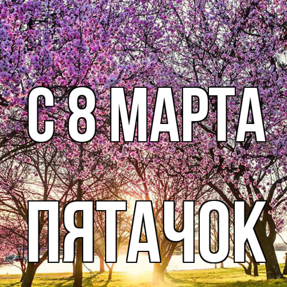 Открытка на каждый день с именем, Пятачок C 8 МАРТА международный женский день Прикольная открытка с пожеланием онлайн скачать бесплатно 