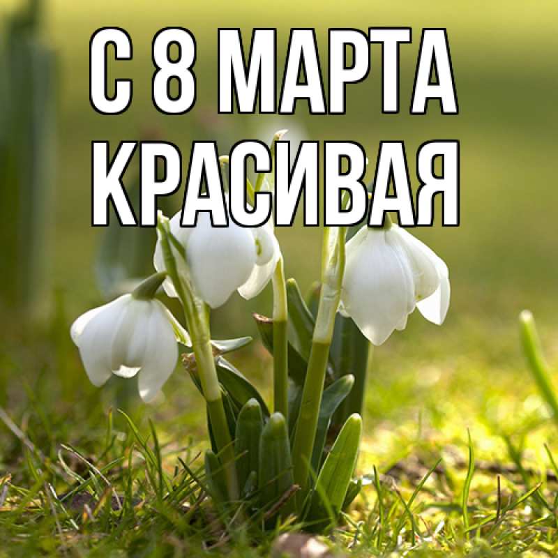 Картинка C 8 МАРТА, Красивая