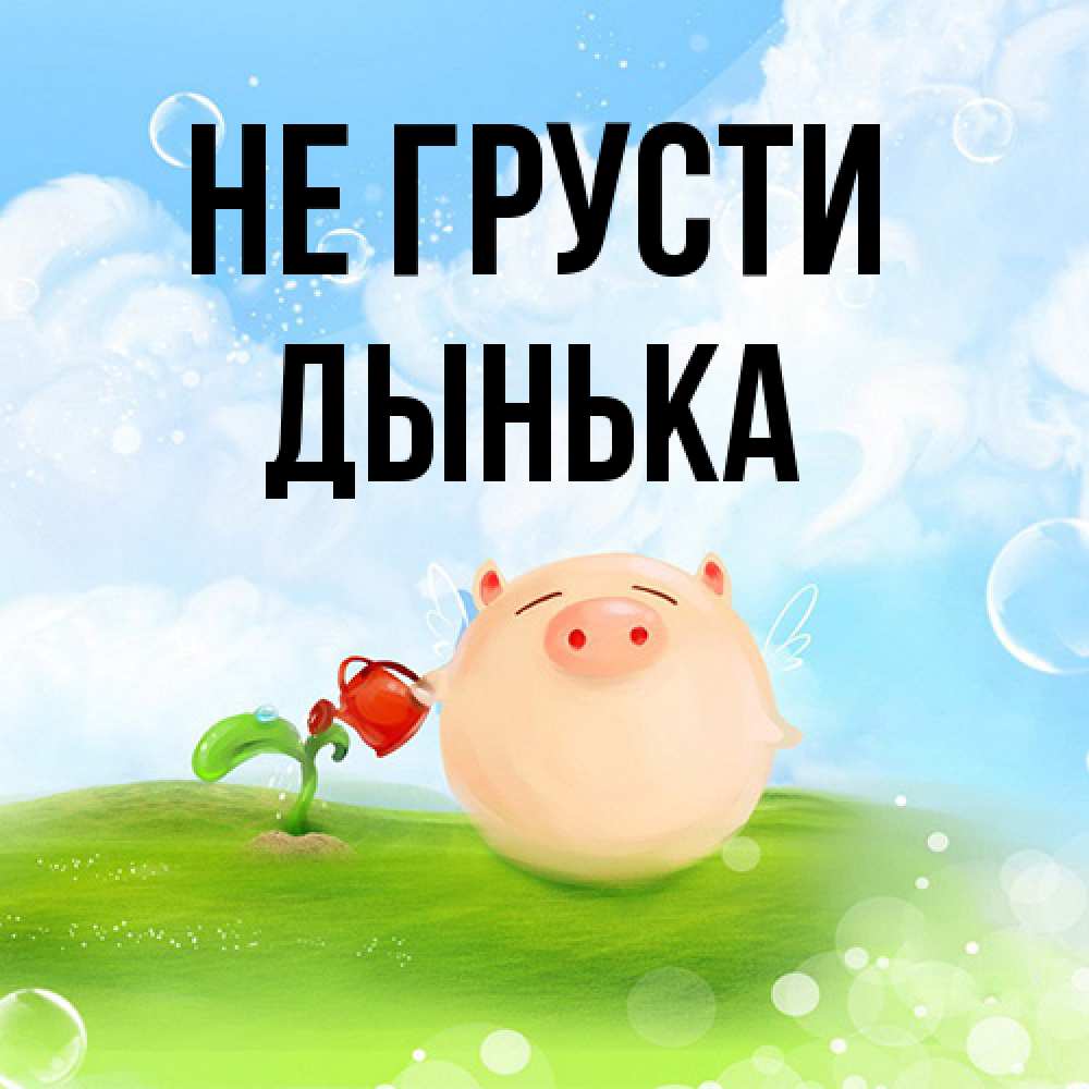 Открытка на каждый день с именем, Дынька Не грусти поливает цветок порося Прикольная открытка с пожеланием онлайн скачать бесплатно 