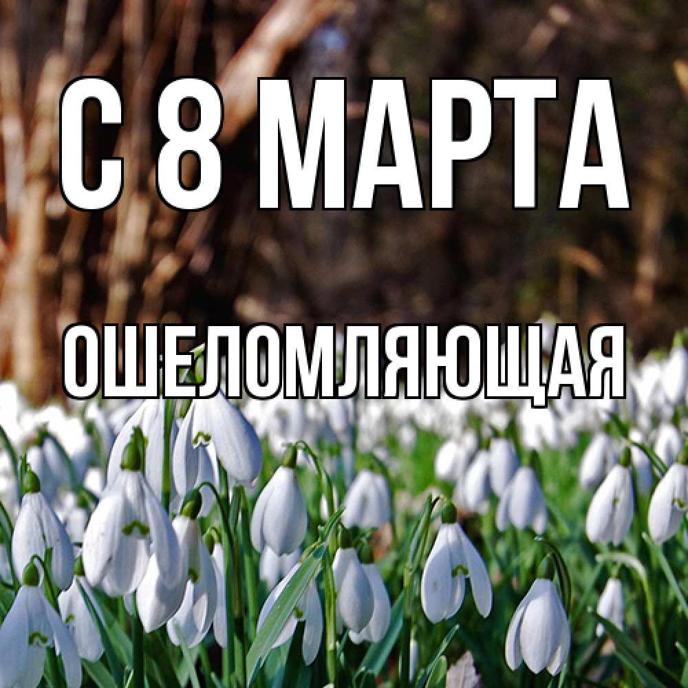 Открытка на каждый день с именем, Ошеломляющая C 8 МАРТА с подснежниками 1 Прикольная открытка с пожеланием онлайн скачать бесплатно 
