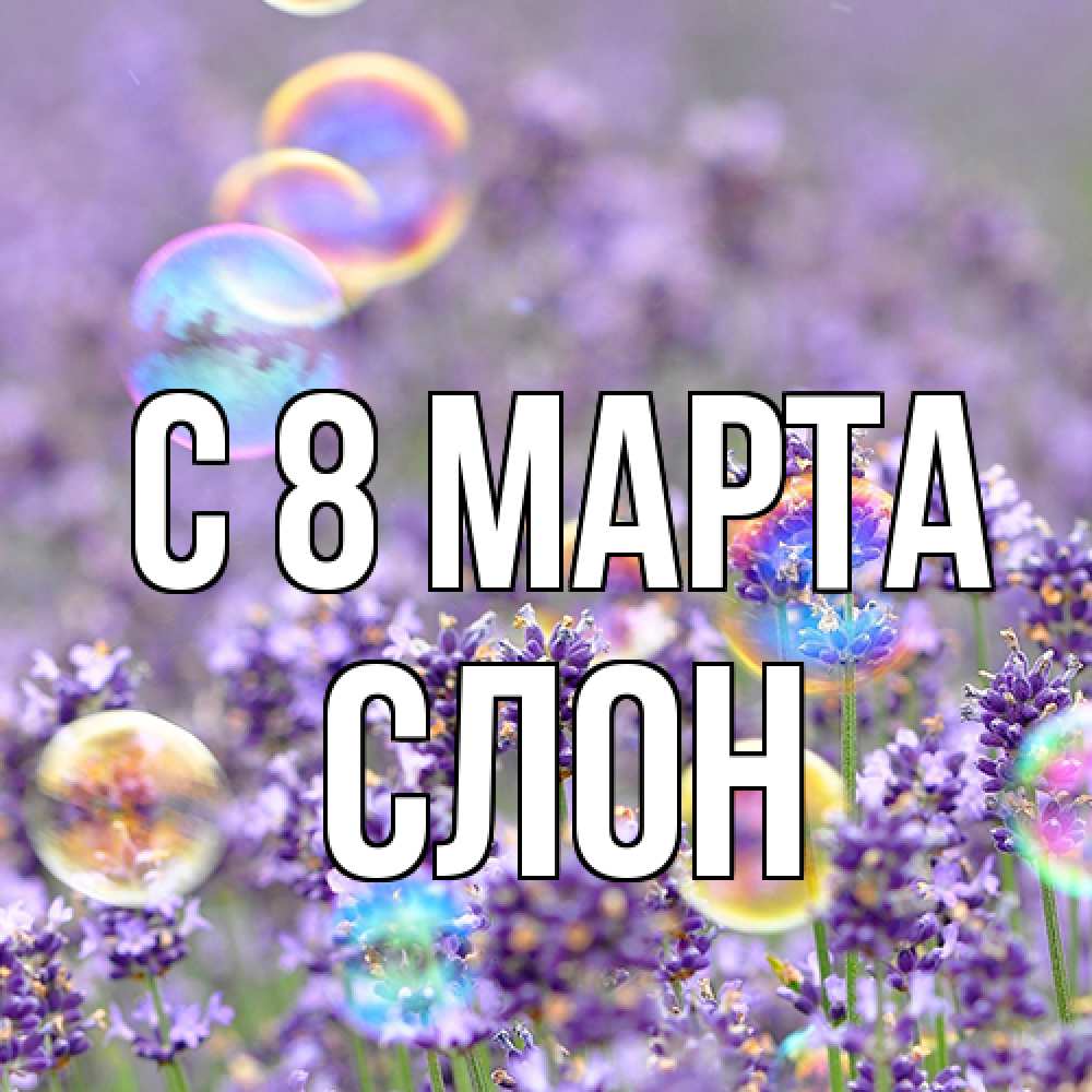 Открытка на каждый день с именем, Слон C 8 МАРТА цветы Прикольная открытка с пожеланием онлайн скачать бесплатно 