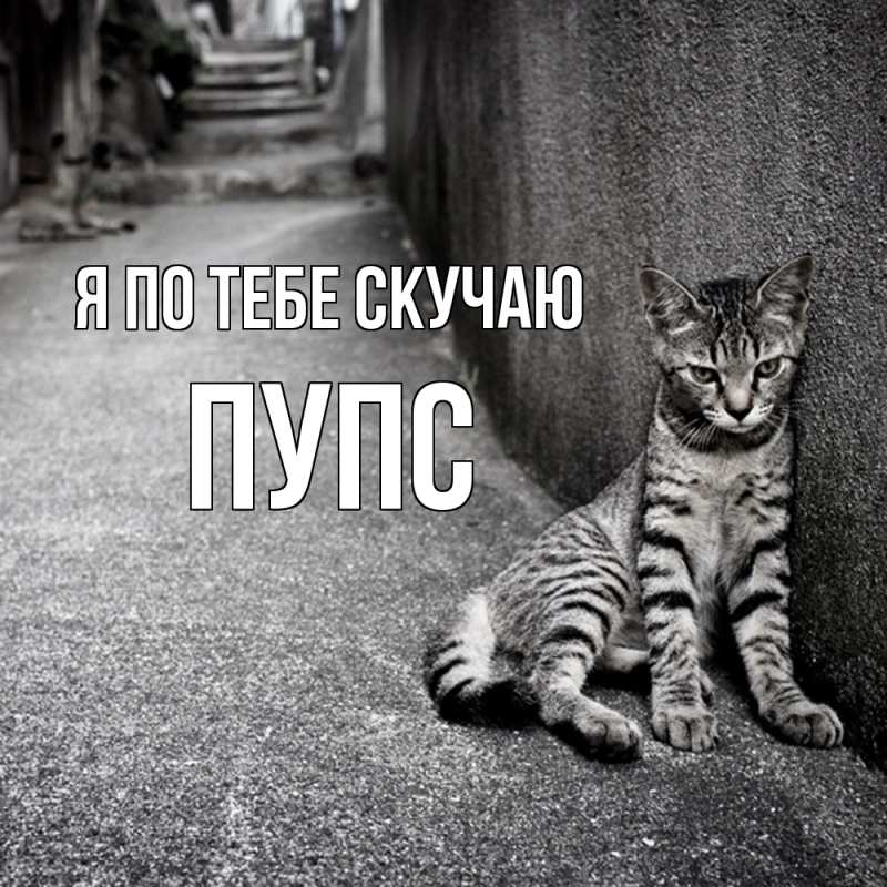 Картинка Я по тебе скучаю, Пупс