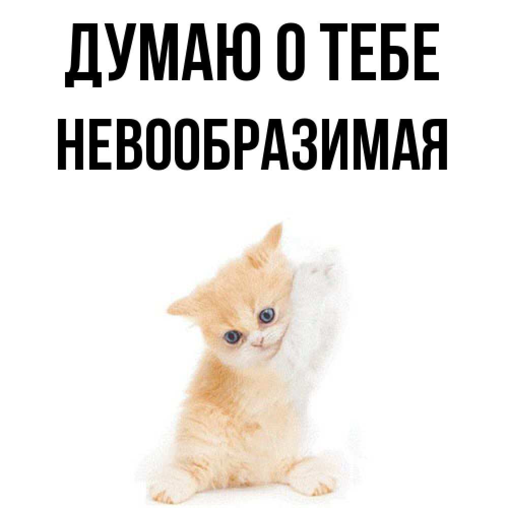 Открытка на каждый день с именем, Невообразимая Думаю о тебе зверушки и милота Прикольная открытка с пожеланием онлайн скачать бесплатно 