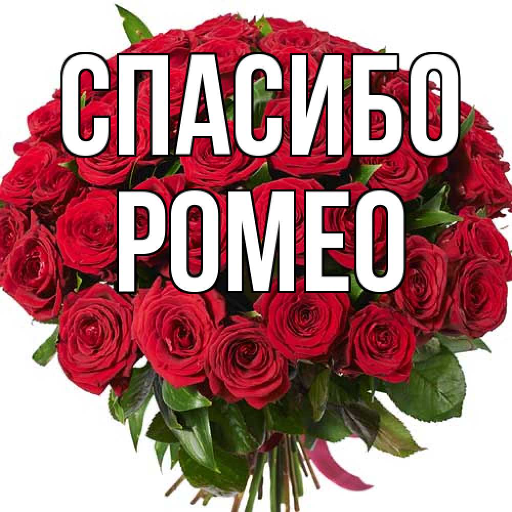Открытка на каждый день с именем, Ромео Спасибо букет красных роз Прикольная открытка с пожеланием онлайн скачать бесплатно 