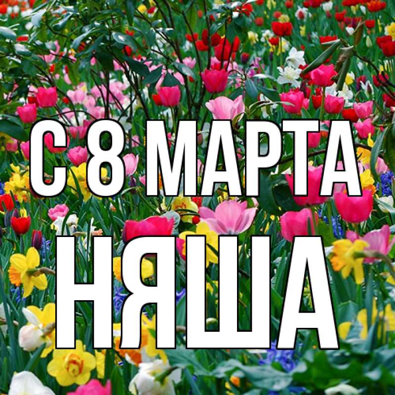 Картинка C 8 МАРТА, няша