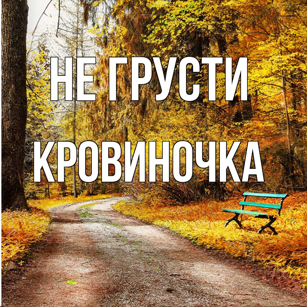 Открытка на каждый день с именем, кровиночка Не грусти зеленая лавочка Прикольная открытка с пожеланием онлайн скачать бесплатно 