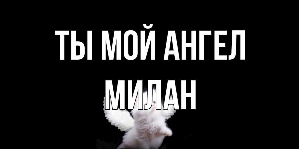 Открытка на каждый день с именем, Милан Ты мой ангел Кот ангел Прикольная открытка с пожеланием онлайн скачать бесплатно 