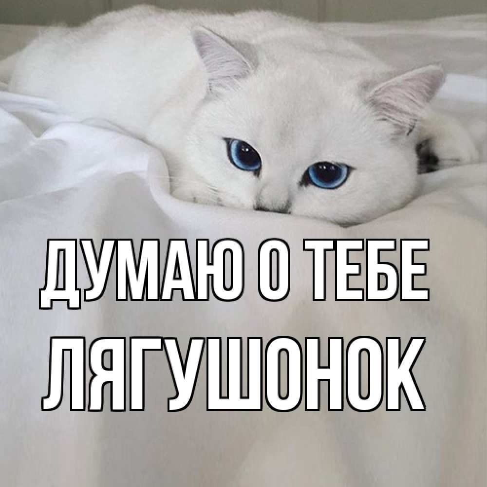 Открытка на каждый день с именем, лягушонок Думаю о тебе я очень по тебе скучаю и тоскую Прикольная открытка с пожеланием онлайн скачать бесплатно 