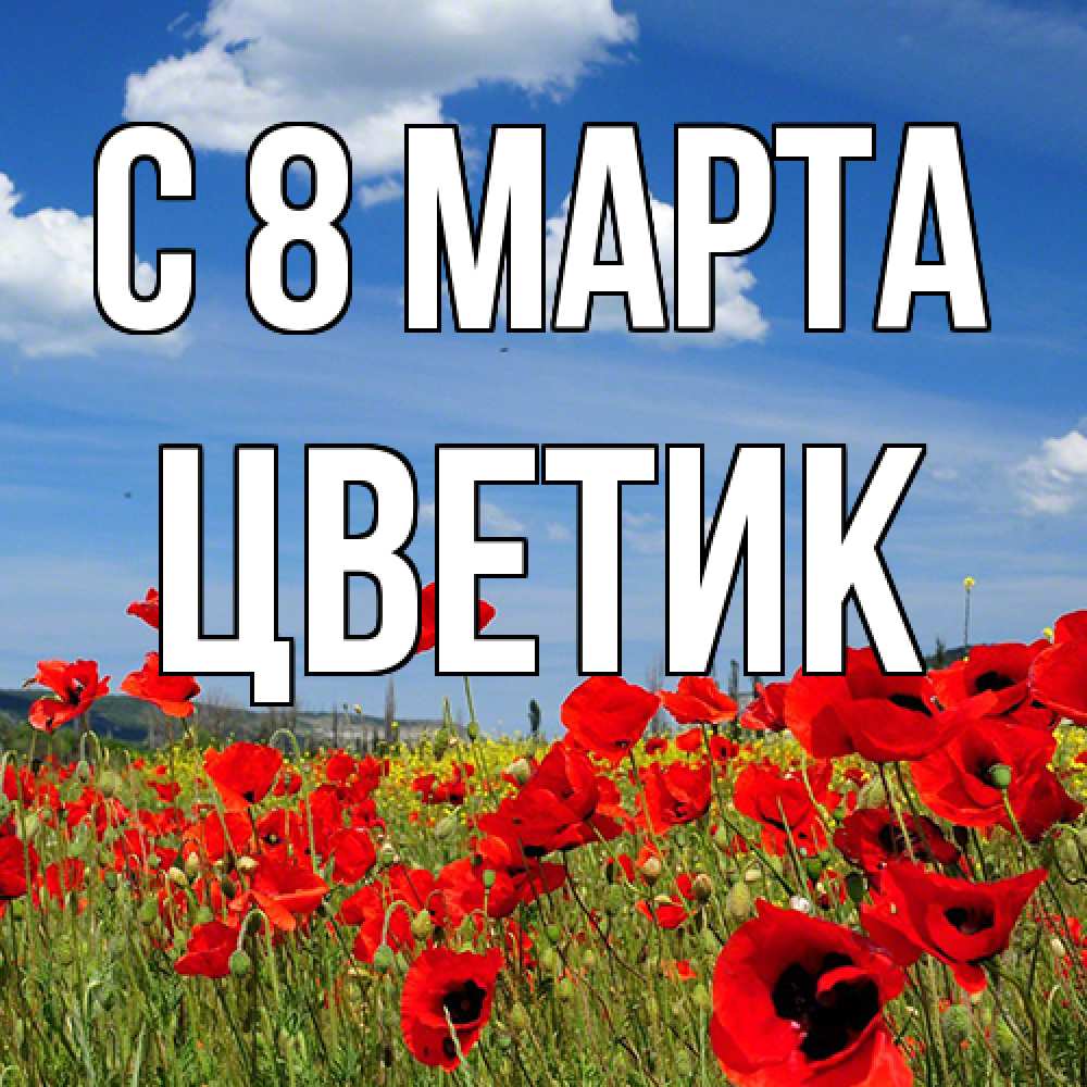 Открытка на каждый день с именем, цветик C 8 МАРТА международный женский день 1 Прикольная открытка с пожеланием онлайн скачать бесплатно 