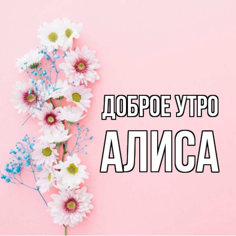 Картинка Доброе утро, Алиса