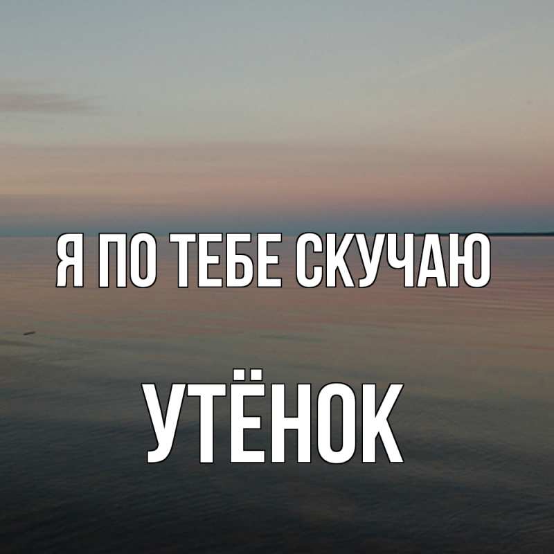 Картинка Я по тебе скучаю, Утёнок