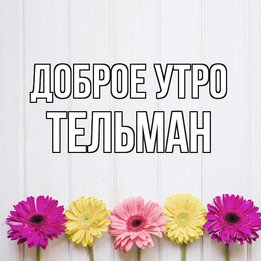 Открытка на каждый день с именем, Тельман Доброе утро красный желтый и розовый цветок Прикольная открытка с пожеланием онлайн скачать бесплатно 