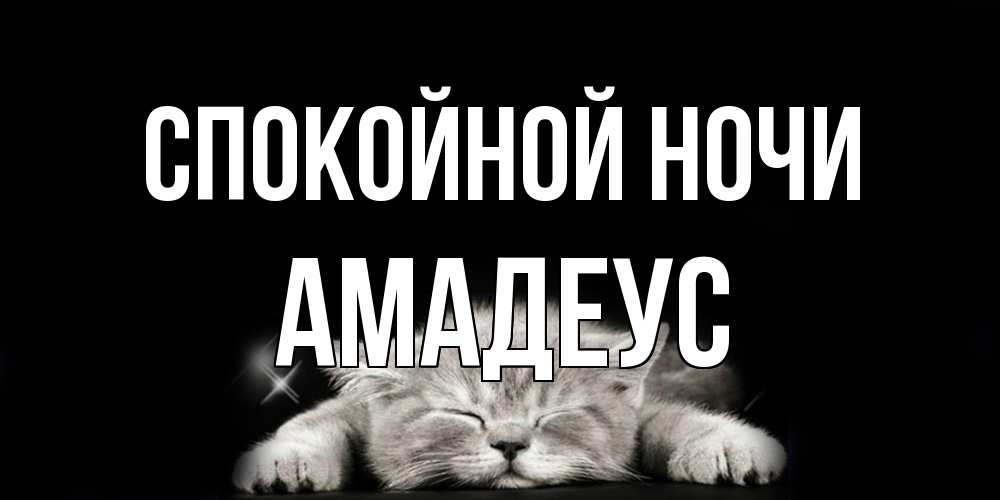Открытка на каждый день с именем, Амадеус Спокойной ночи спящий котик Прикольная открытка с пожеланием онлайн скачать бесплатно 