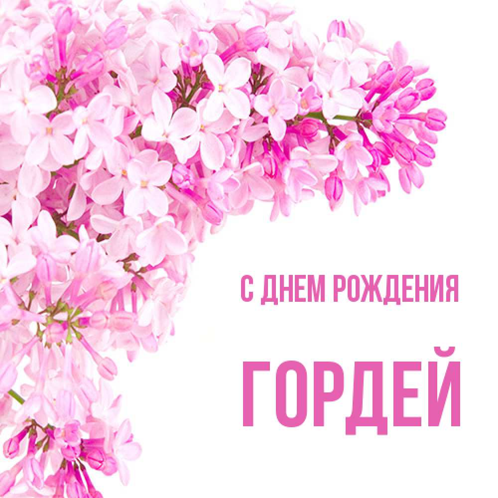 Открытка на каждый день с именем, Гордей С днем рождения Сирень на белом фоне Прикольная открытка с пожеланием онлайн скачать бесплатно 