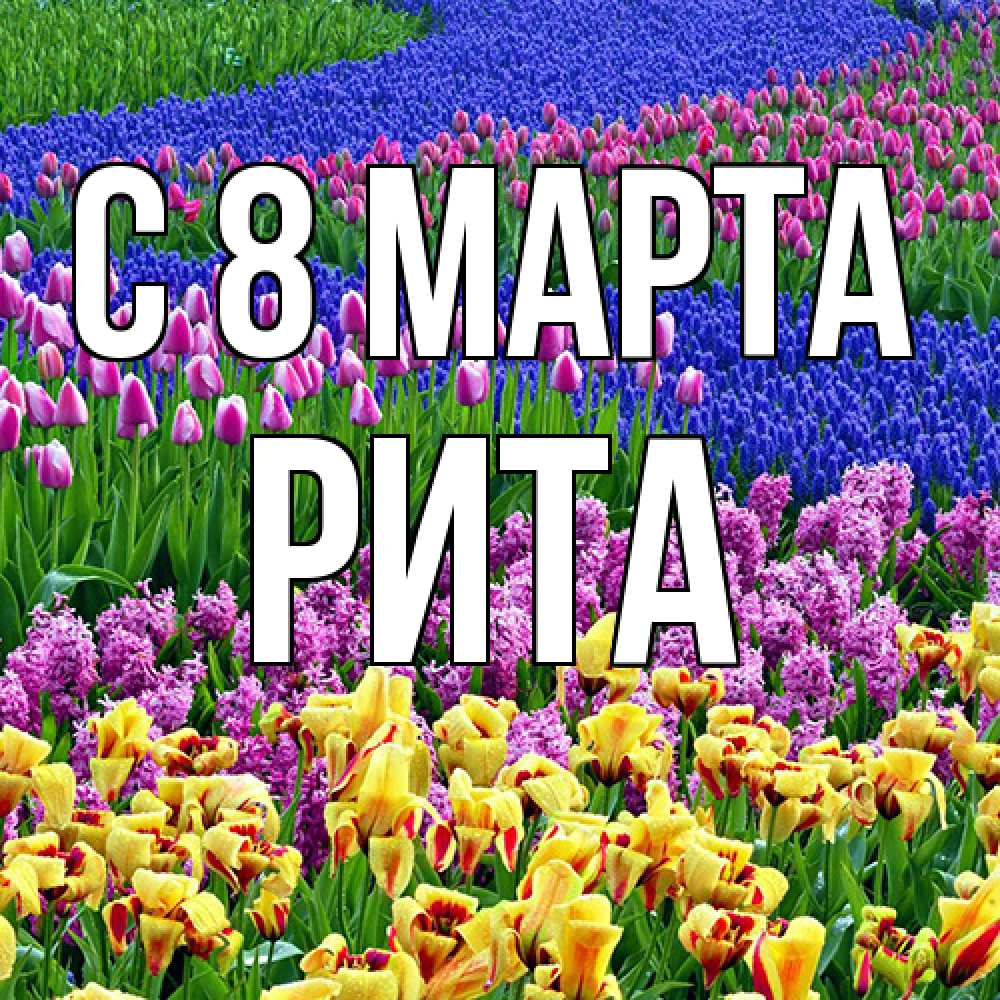 Открытка на каждый день с именем, Рита C 8 МАРТА цветы Прикольная открытка с пожеланием онлайн скачать бесплатно 