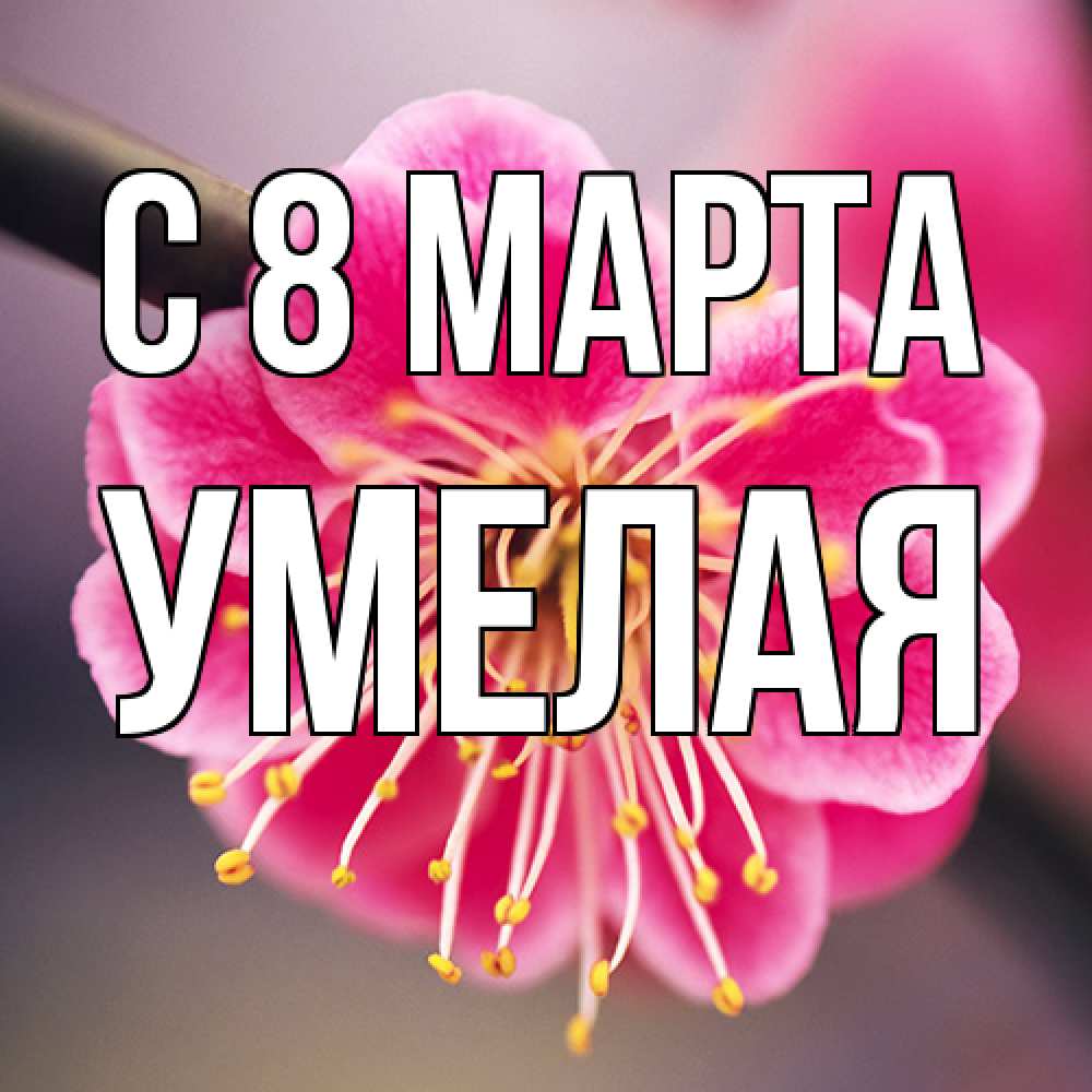 Открытка на каждый день с именем, Умелая C 8 МАРТА цветы Прикольная открытка с пожеланием онлайн скачать бесплатно 