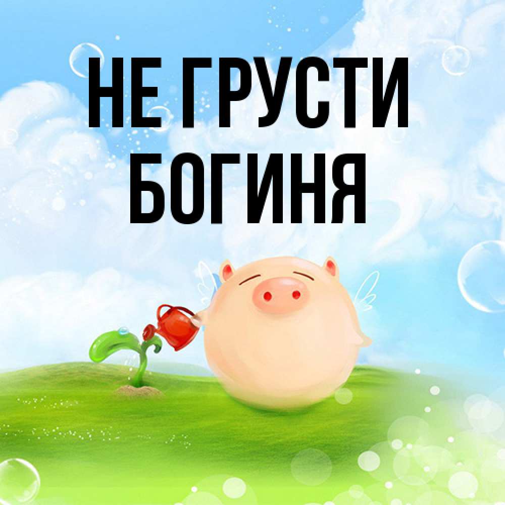 Открытка на каждый день с именем, Богиня Не грусти поливает цветок порося Прикольная открытка с пожеланием онлайн скачать бесплатно 