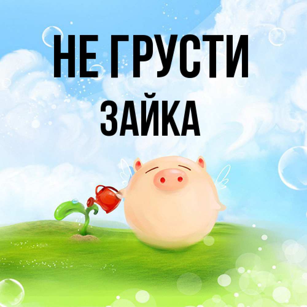 Открытка на каждый день с именем, Зайка Не грусти поливает цветок порося Прикольная открытка с пожеланием онлайн скачать бесплатно 