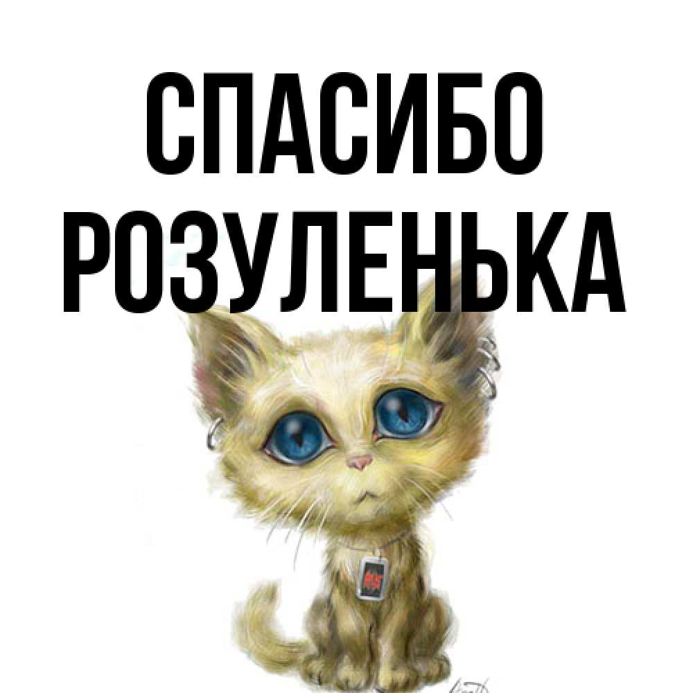 Открытка на каждый день с именем, Розуленька Спасибо рисованный кот благодарит вас Прикольная открытка с пожеланием онлайн скачать бесплатно 