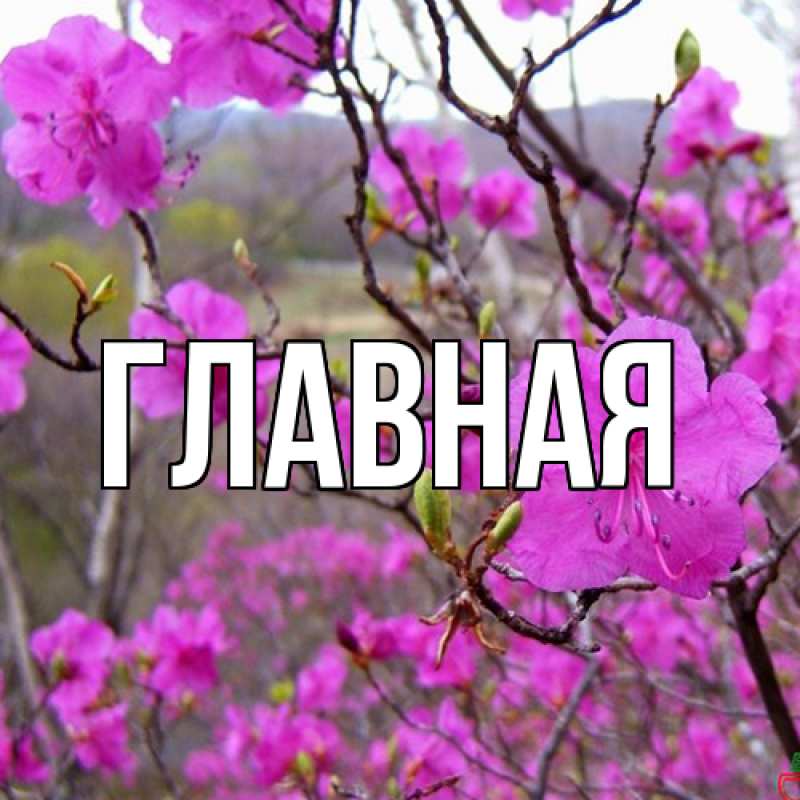 Картинка  с именем , настя