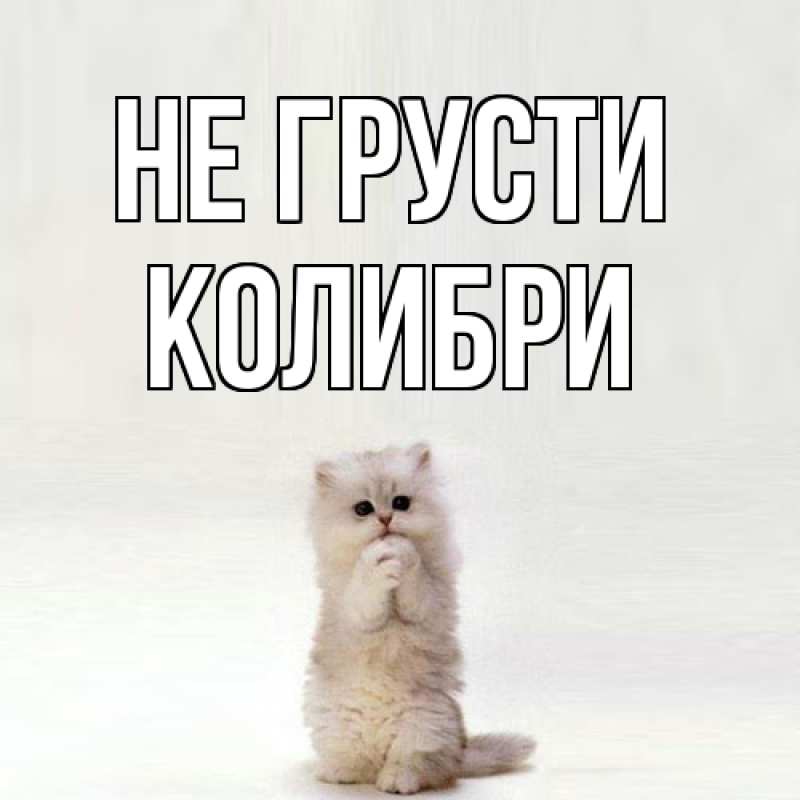 Картинка Не грусти, Колибри