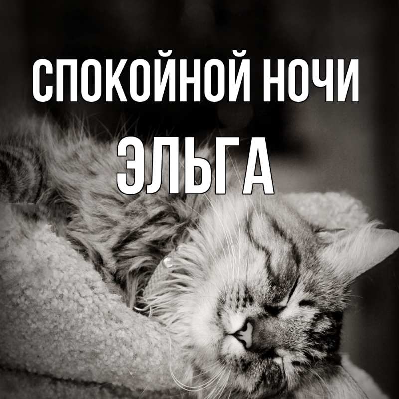 Картинка Спокойной ночи, Эльга