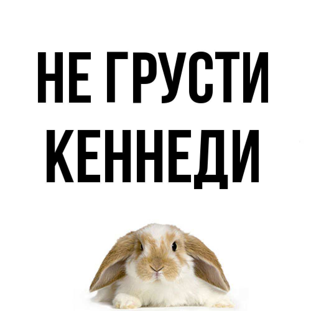 Открытка на каждый день с именем, Кеннеди Не грусти коричнево белый заяц с большими ушками Прикольная открытка с пожеланием онлайн скачать бесплатно 
