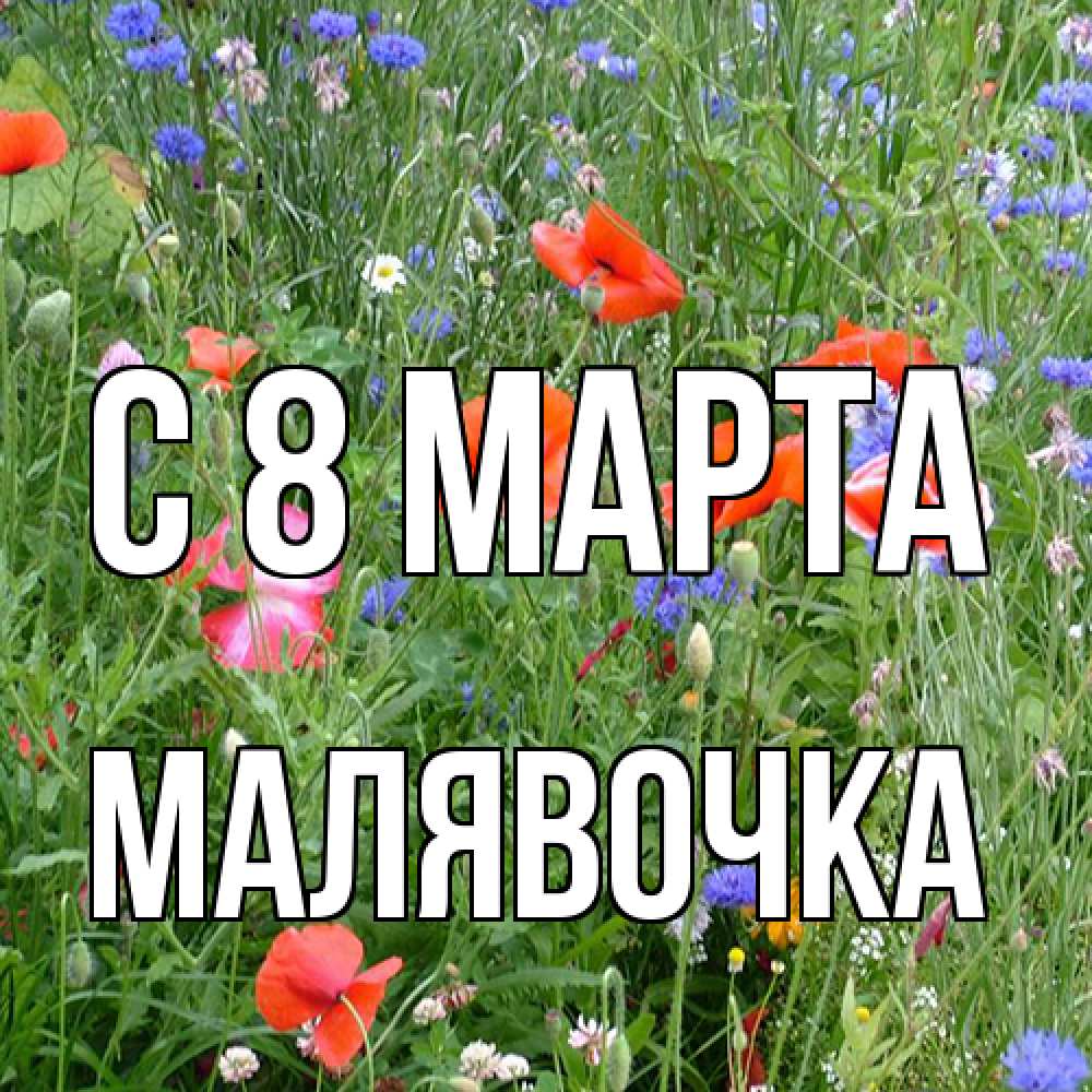 Открытка на каждый день с именем, малявочка C 8 МАРТА международный женский день 4 Прикольная открытка с пожеланием онлайн скачать бесплатно 