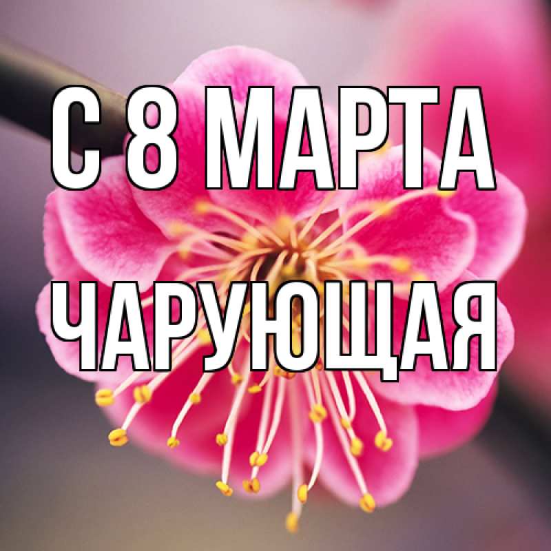 Картинка C 8 МАРТА, Чаpующая
