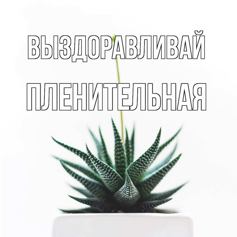 Картинка Выздоравливай, пленительная