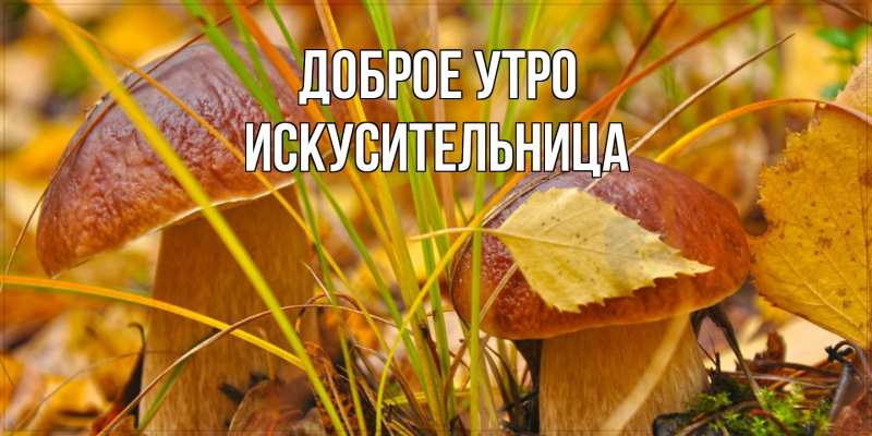 Картинка Доброе утро, Искусительница