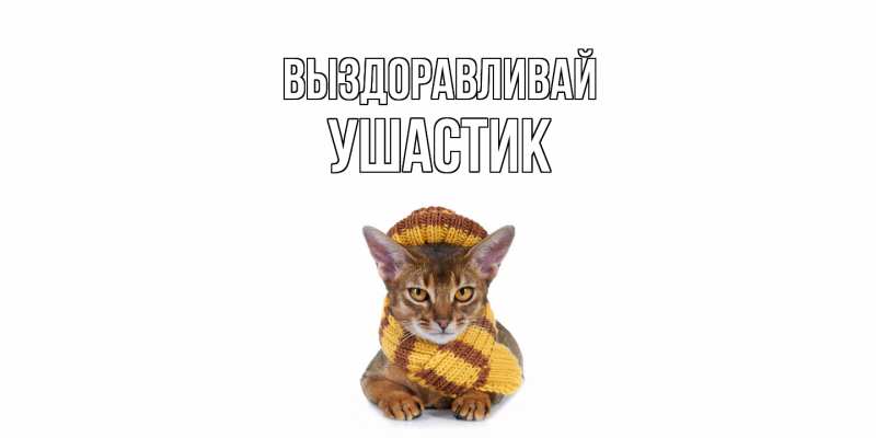 Картинка Выздоравливай, Ушастик