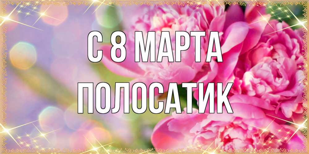 Открытка на каждый день с именем, полосатик C 8 МАРТА красивые открытки с текстом для любимых дам Прикольная открытка с пожеланием онлайн скачать бесплатно 