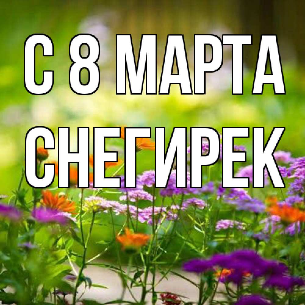 Открытка на каждый день с именем, снегирек C 8 МАРТА цветы Прикольная открытка с пожеланием онлайн скачать бесплатно 