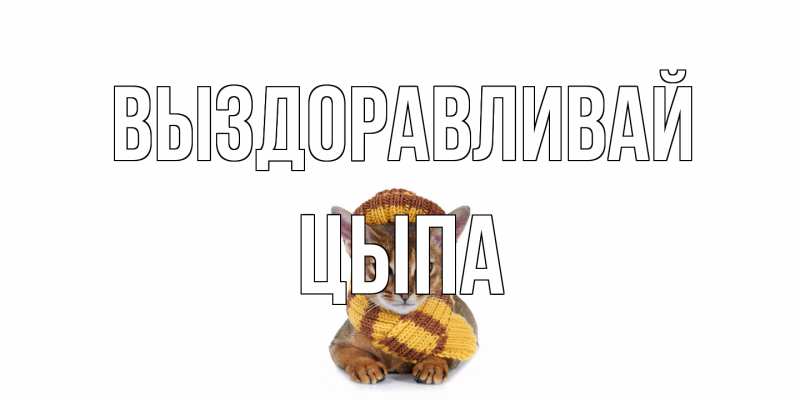 Картинка Выздоравливай, Цыпа