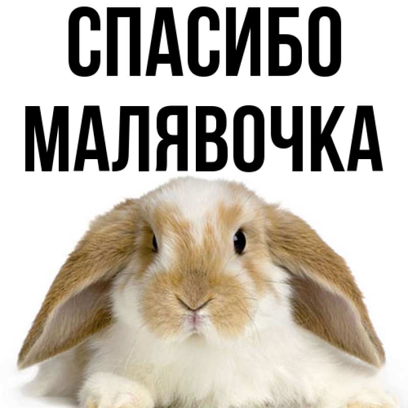 Картинка Спасибо, малявочка