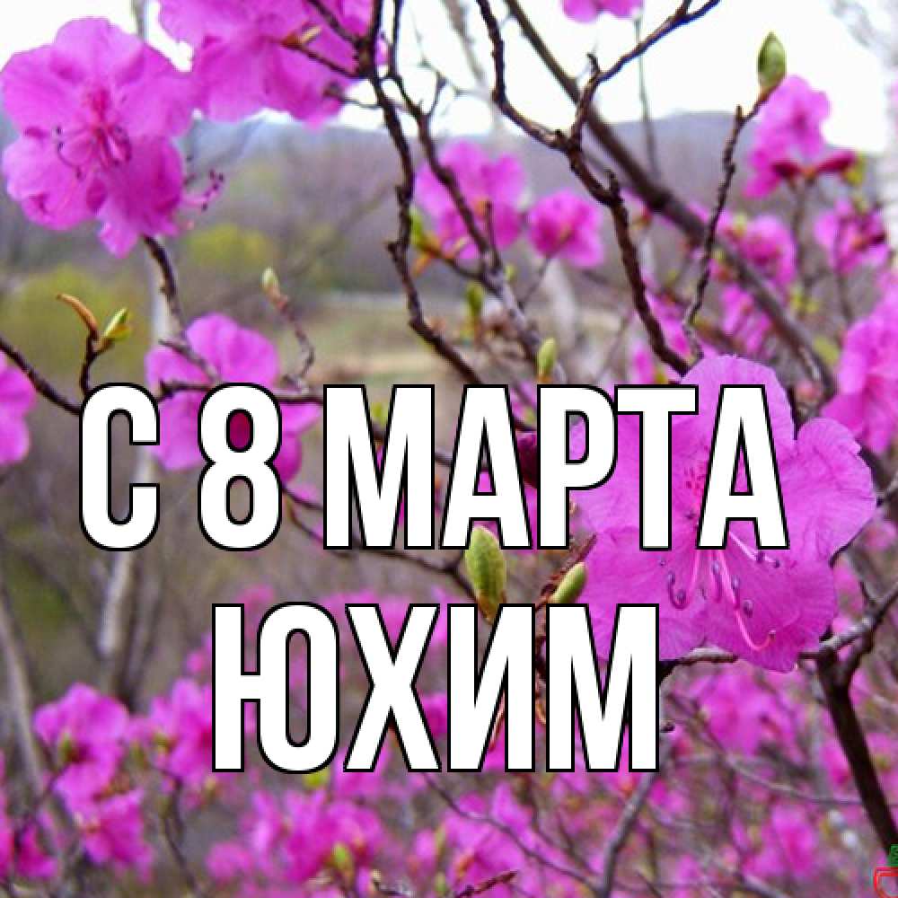 Открытка на каждый день с именем, Юхим C 8 МАРТА международный женский день Прикольная открытка с пожеланием онлайн скачать бесплатно 
