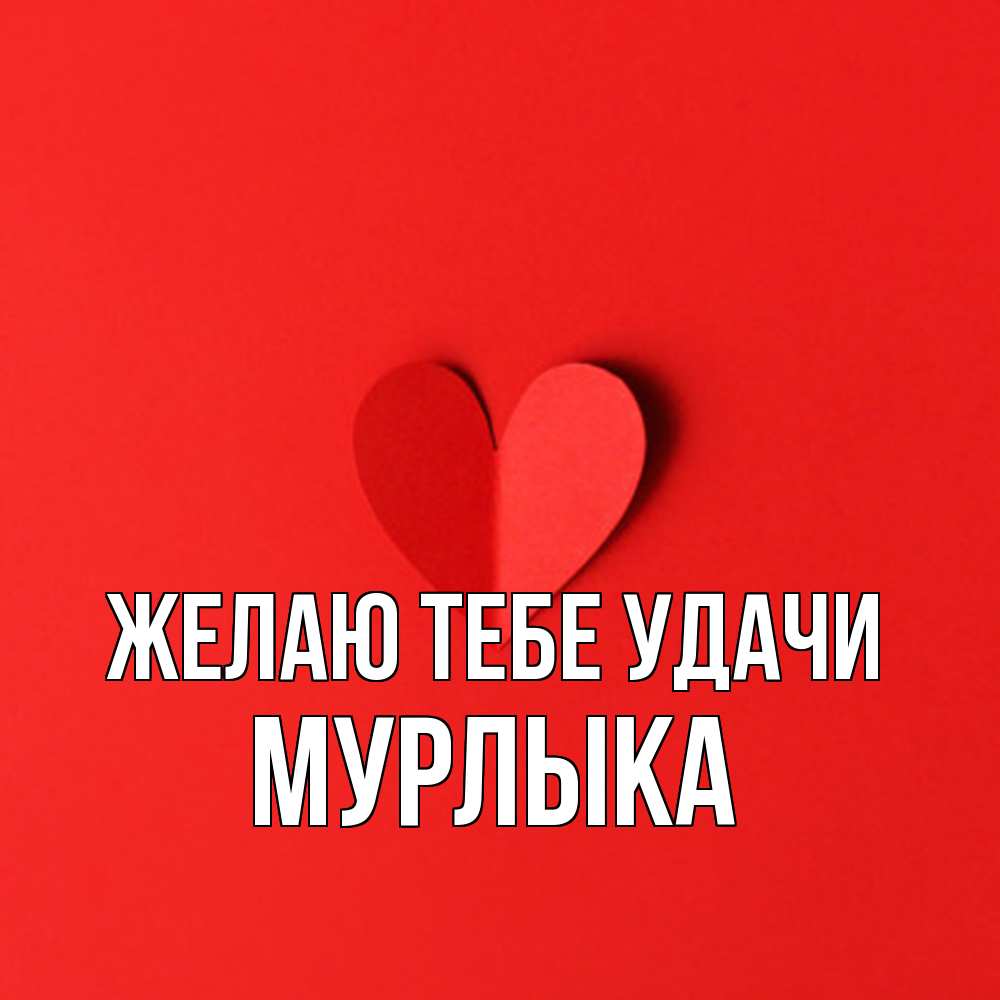 Открытка на каждый день с именем, мурлыка Желаю тебе удачи пусть повезет для любимых 1 Прикольная открытка с пожеланием онлайн скачать бесплатно 
